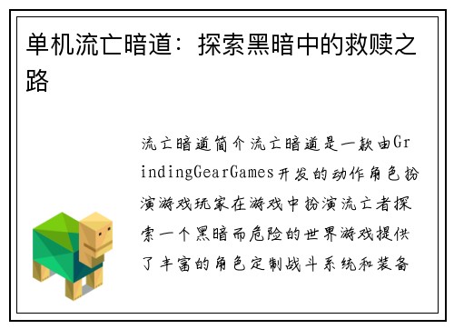 单机流亡暗道：探索黑暗中的救赎之路