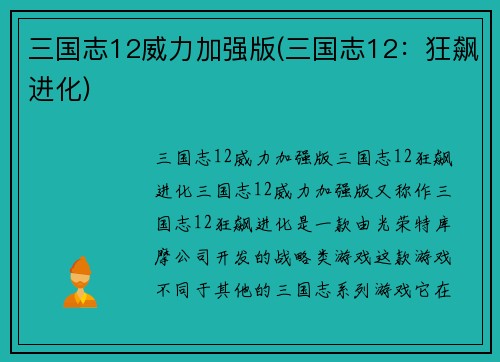 三国志12威力加强版(三国志12：狂飙进化)